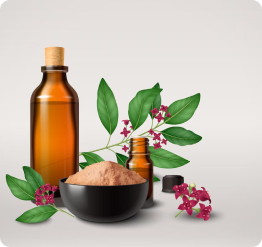 Herbal Oil Medicine
